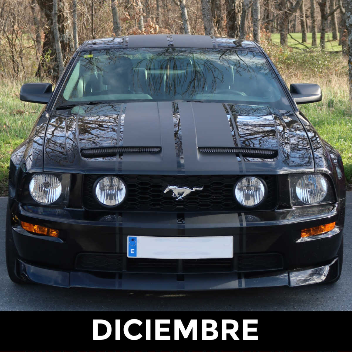Mustang Club Madrid