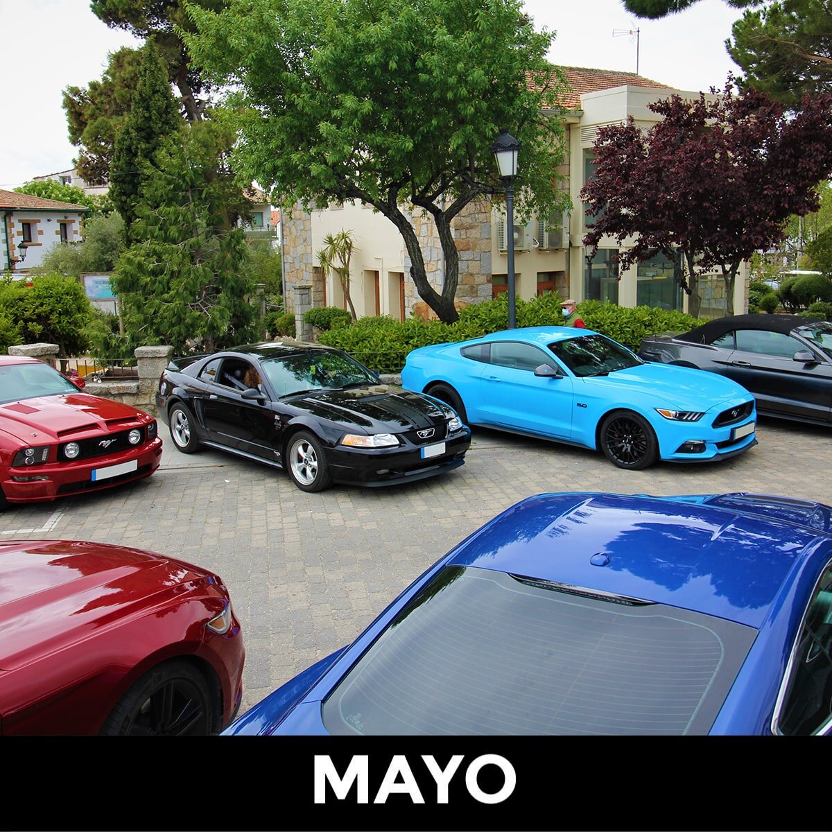 Mustang Club Madrid