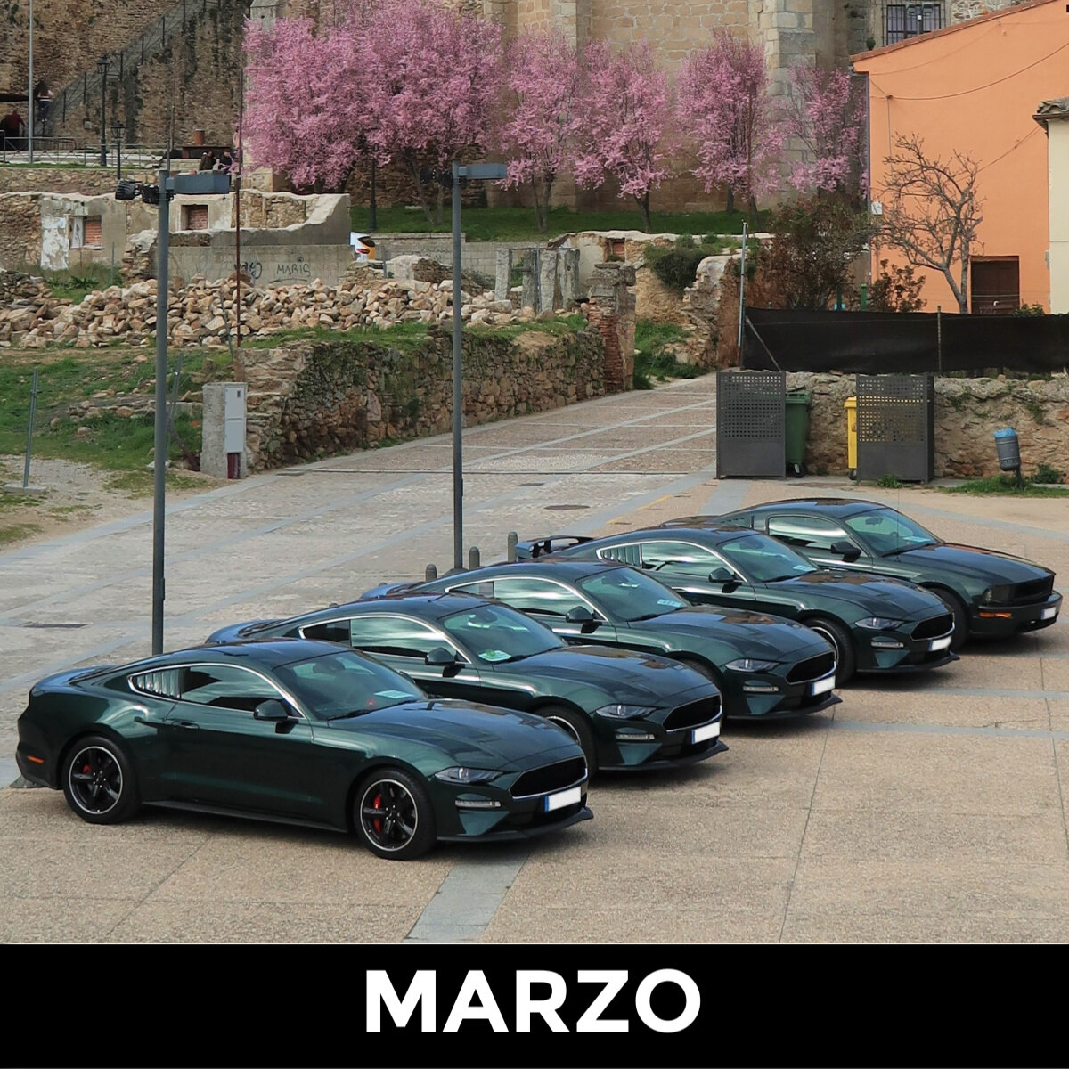Mustang Club Madrid