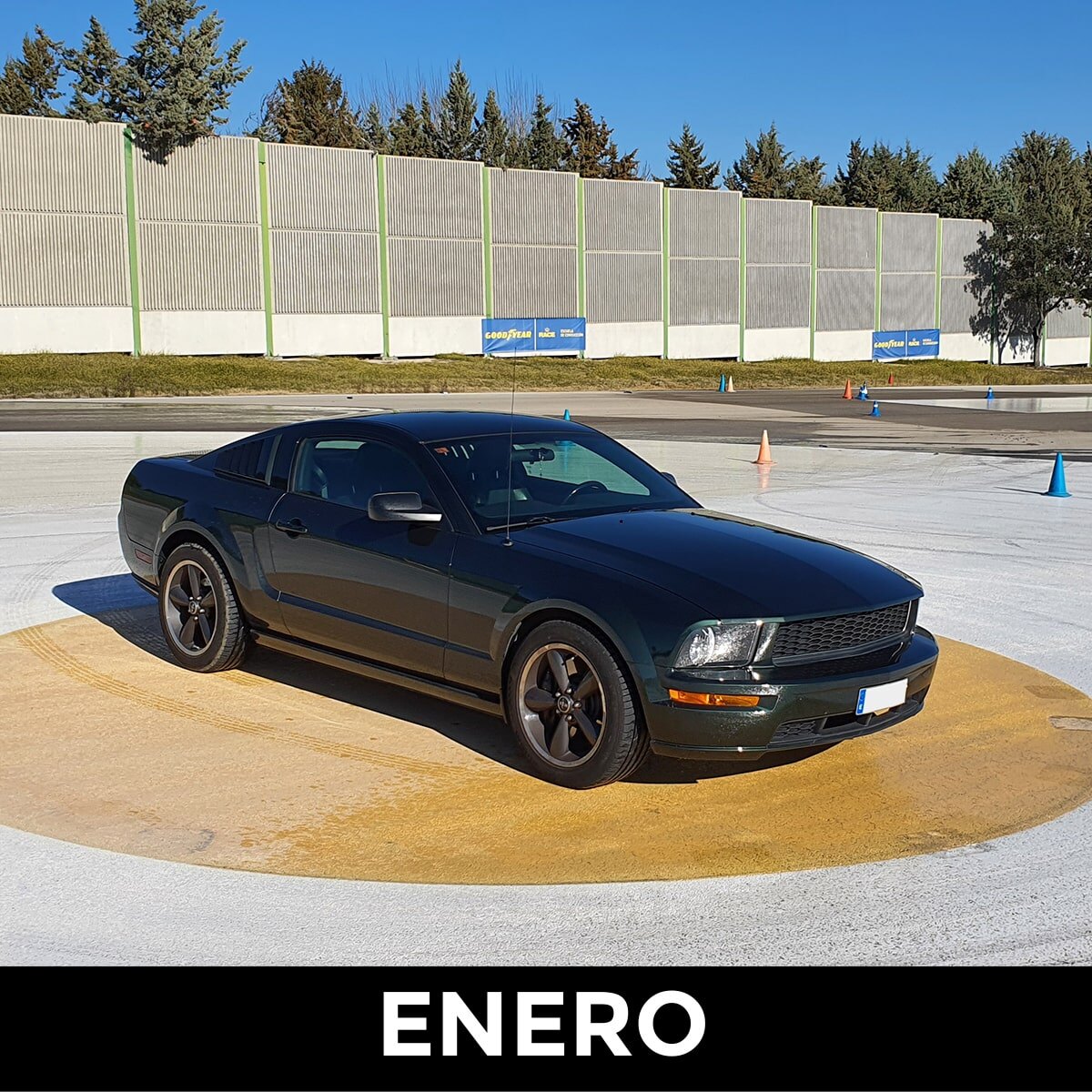 Mustang Club Madrid