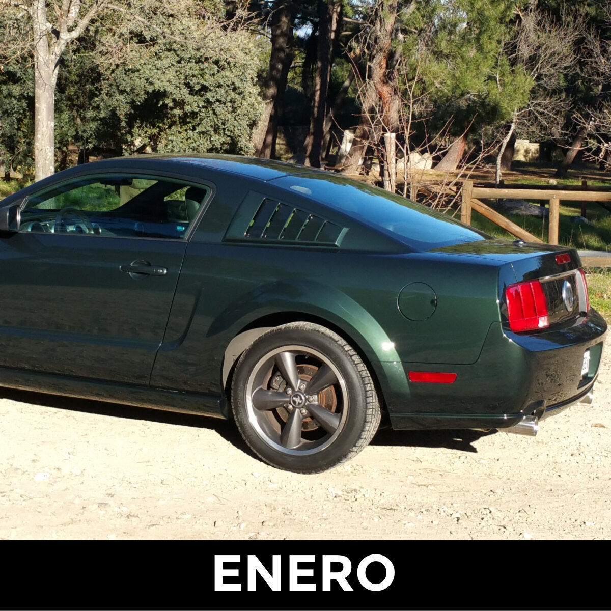 Mustang Club Madrid