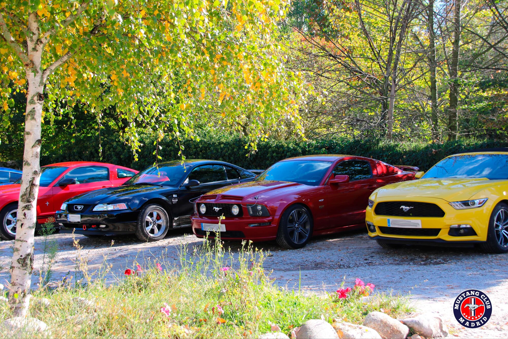 Mustang Club Madrid