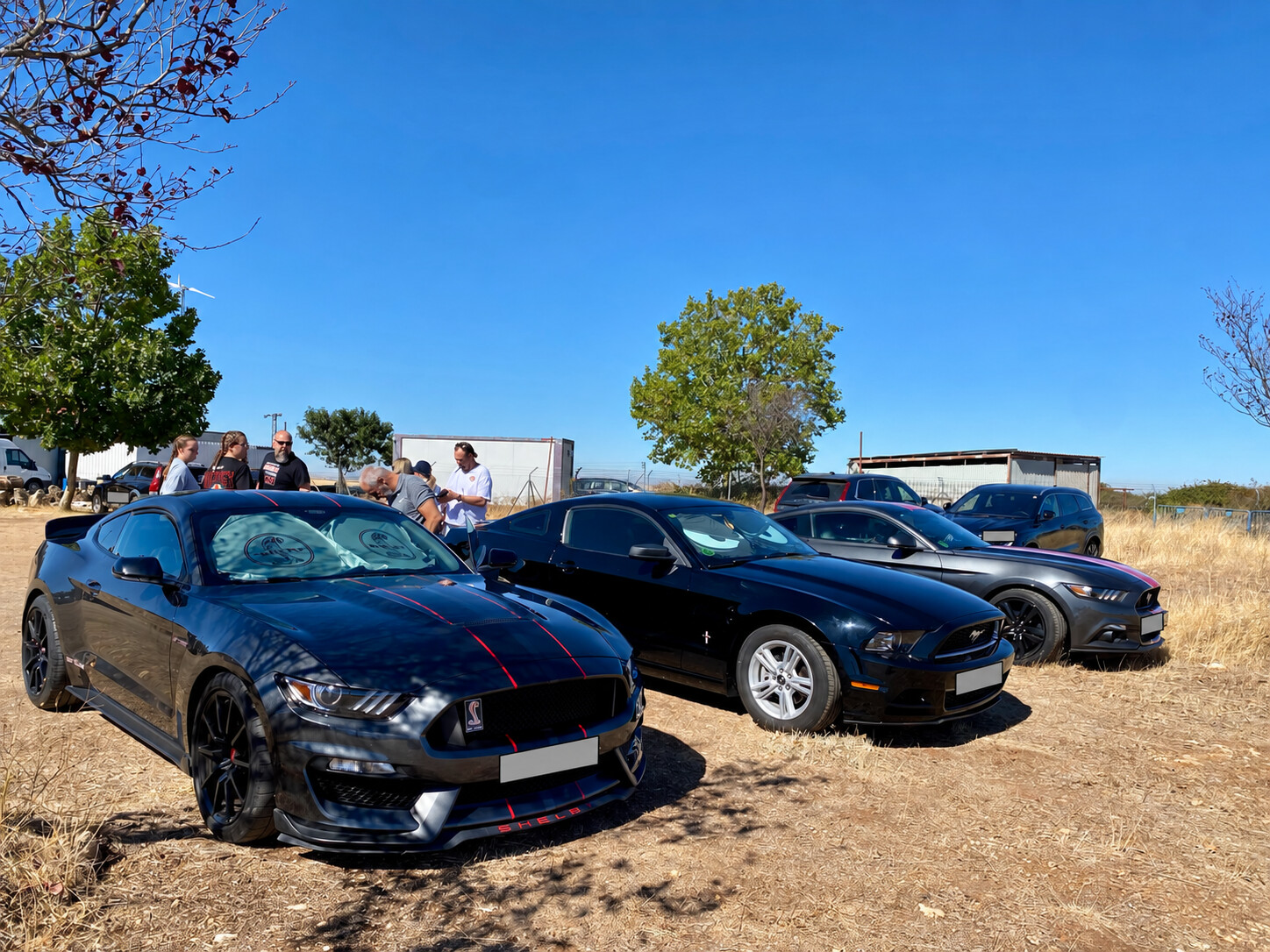 Mustang del club reunidos junto al circuito