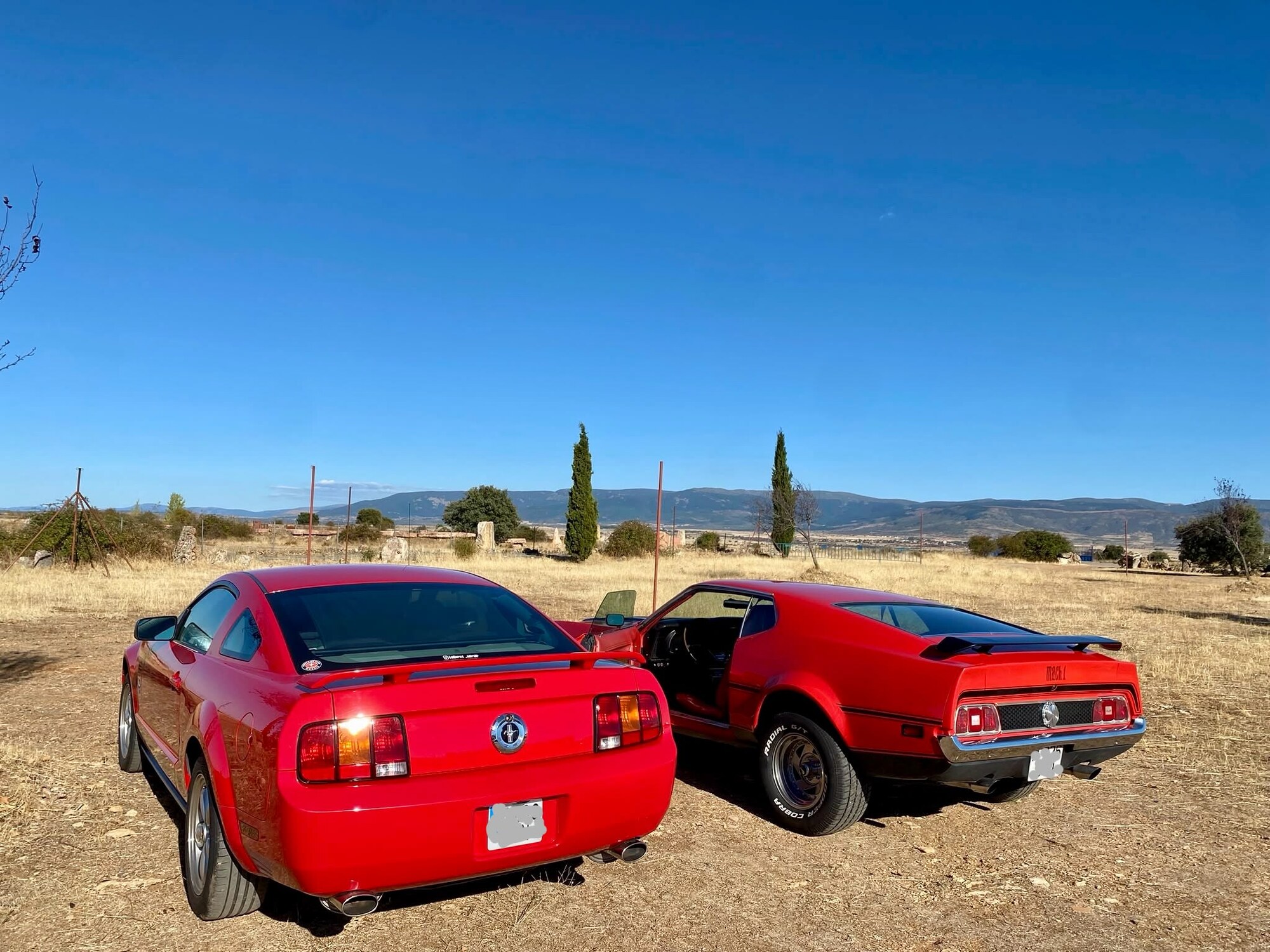 Dos Mustang rojos clásicos