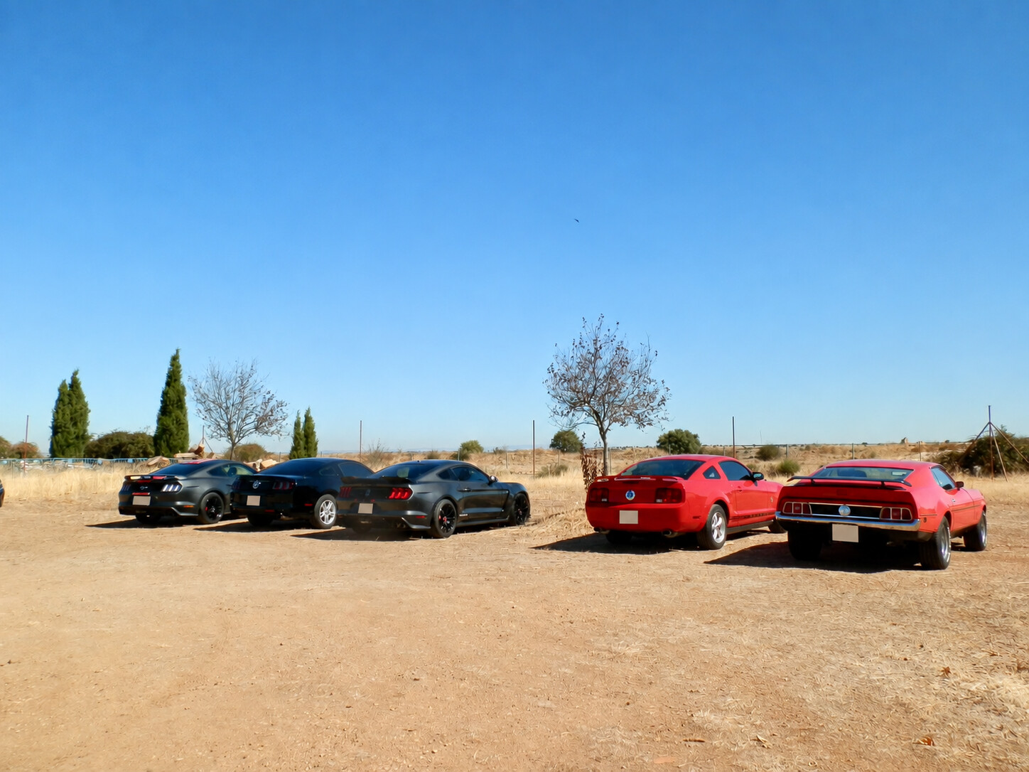 Mustang reunidos en el aparcamiento