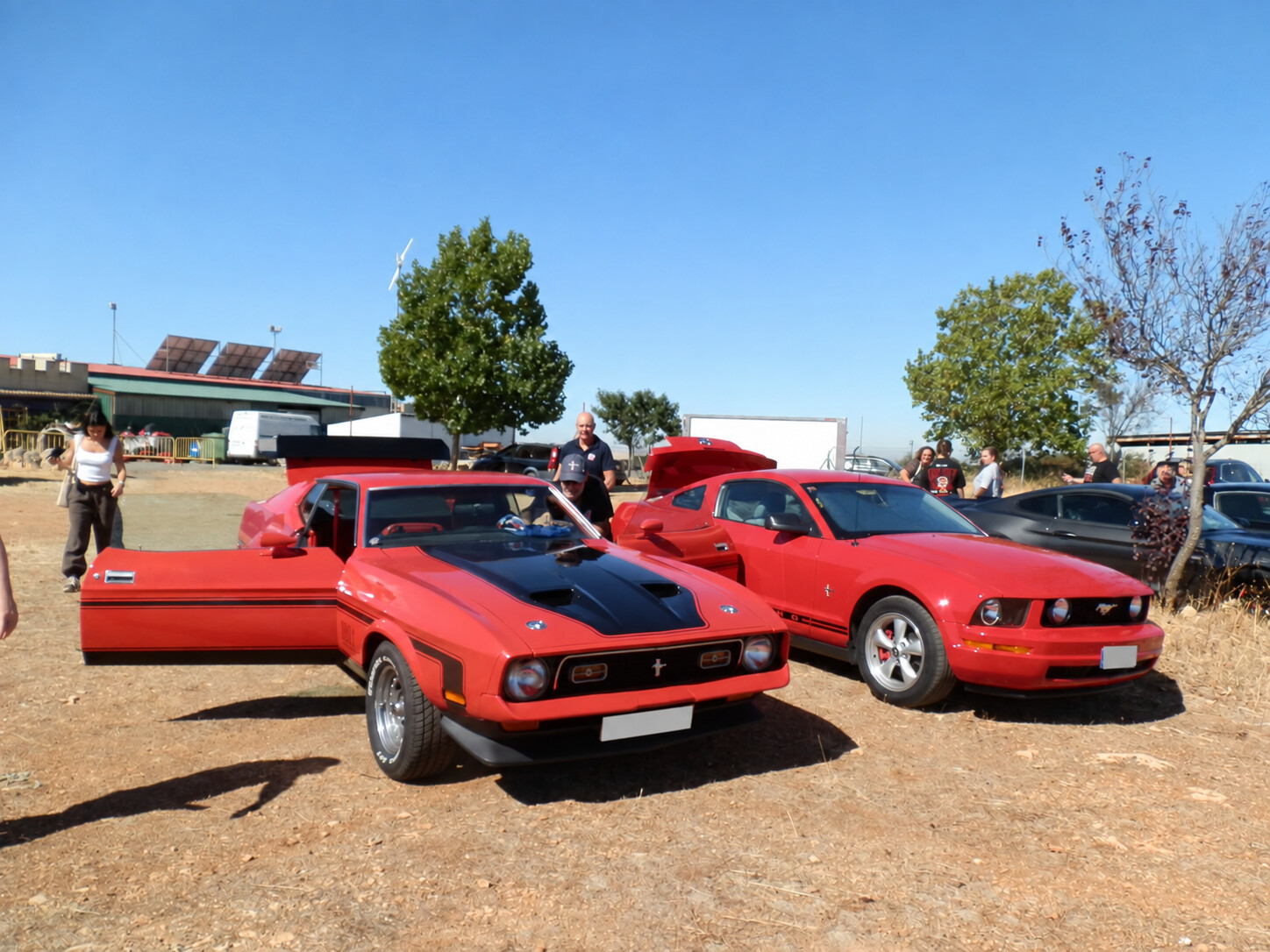 Mustang clásicos del club